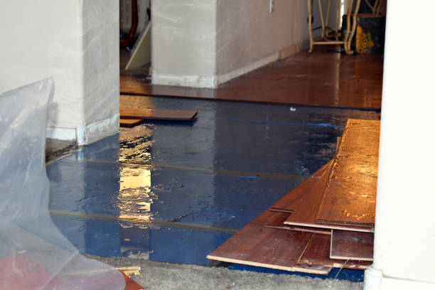 Professional Sewage Cleanup technician working in Eland, WI